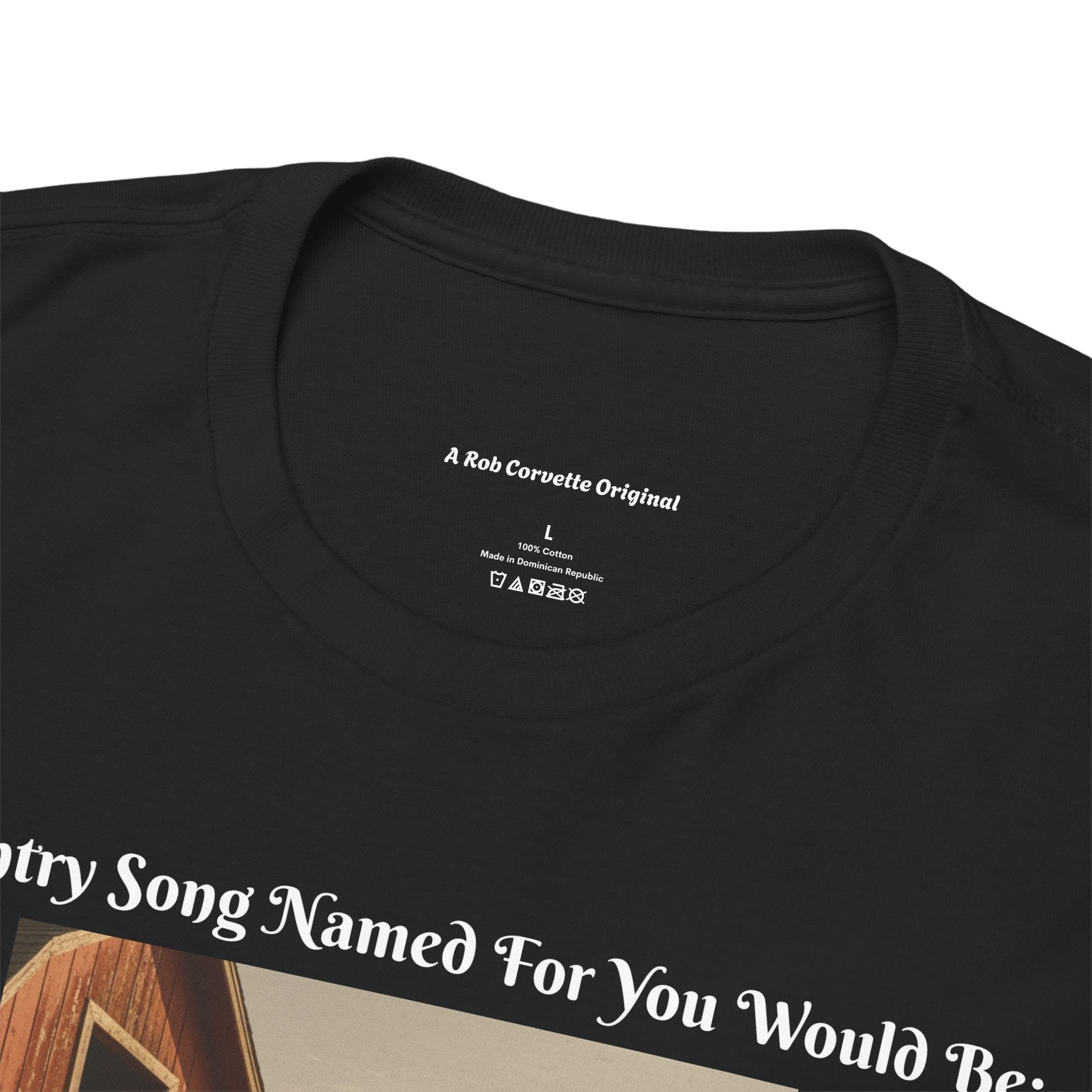 Funny Sarcastic T-Shirt | Dipshit On A Stick | Humor Tee | Funny Gift For Him Her | Adult Humor Shirt | Funny Country Saying Gift